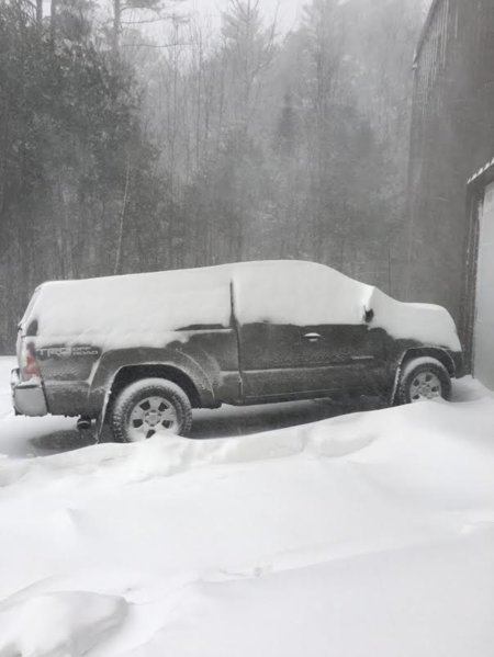 taco snow.jpg