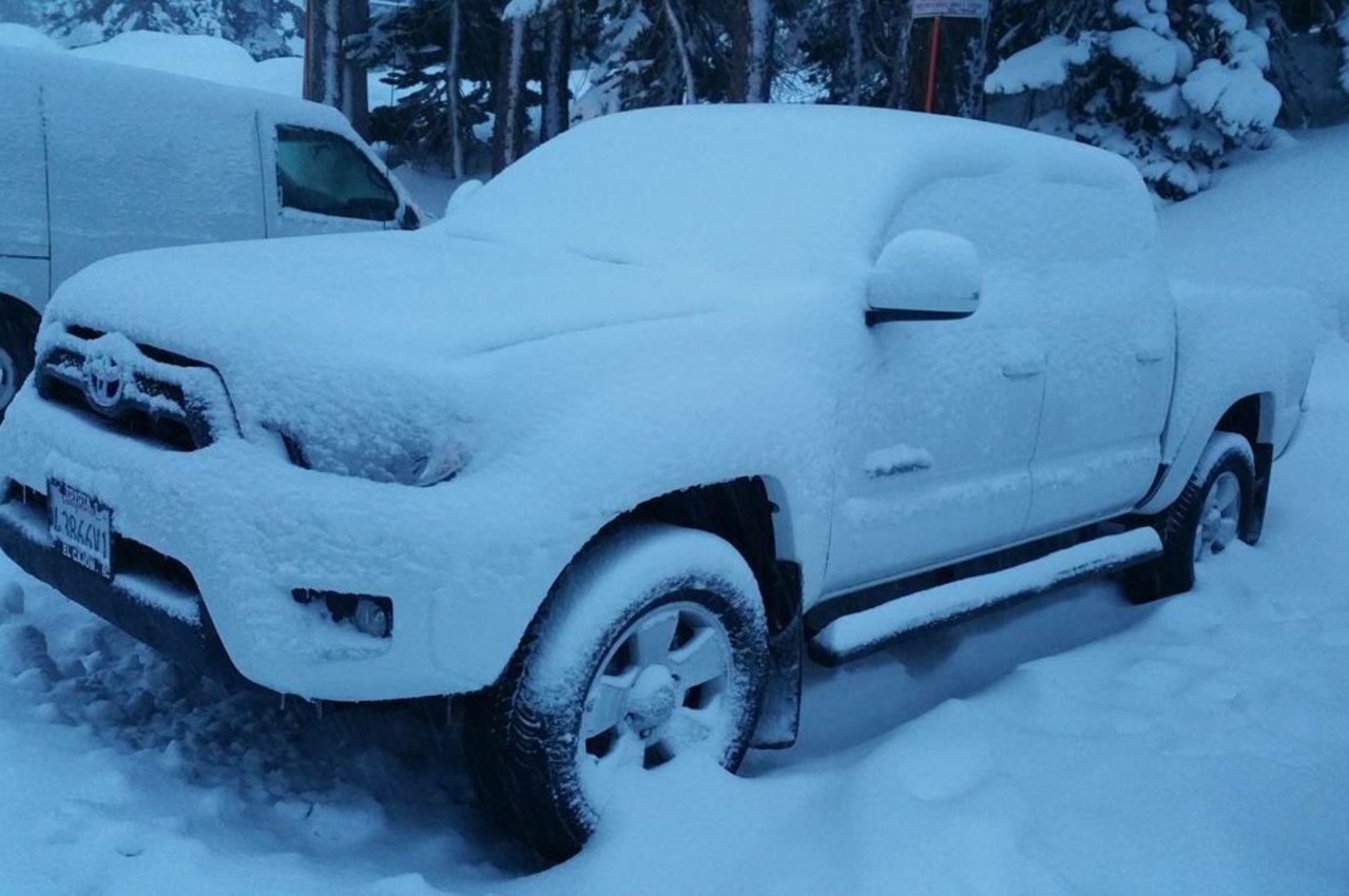 taco snow.jpg
