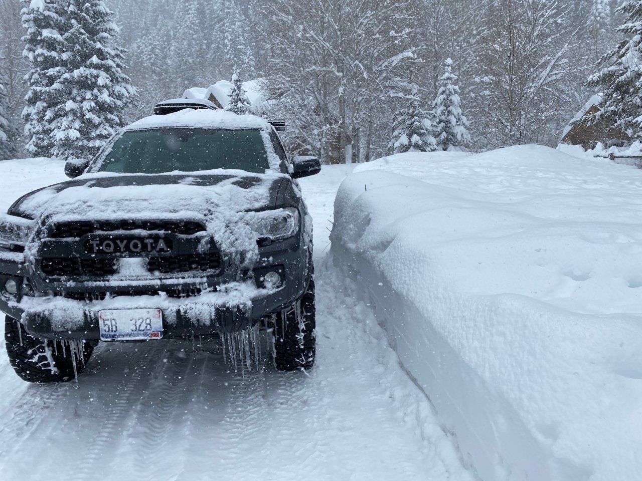 taco snow.jpg