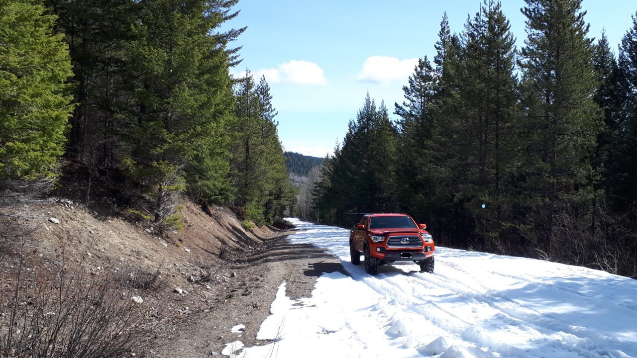 taco-snow.jpg