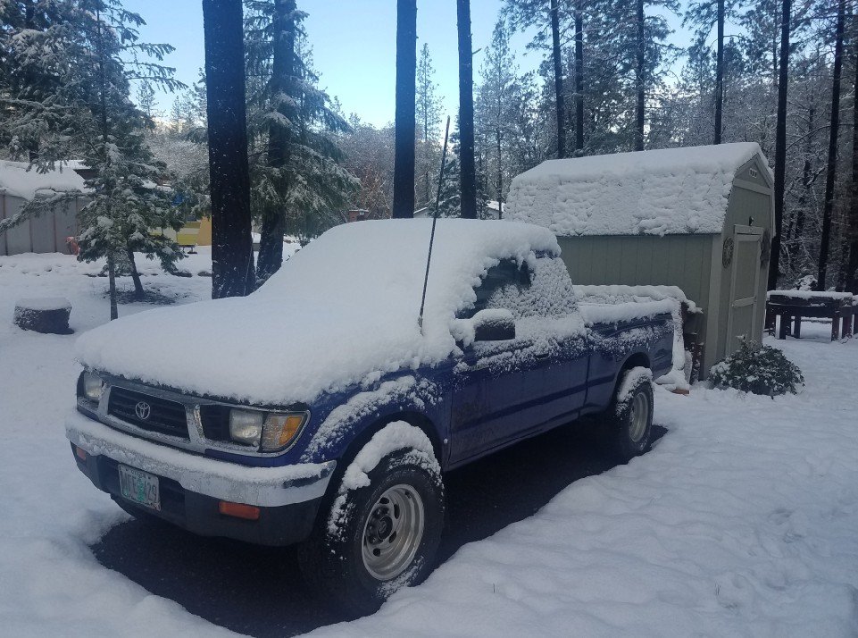 Taco Snow.jpg