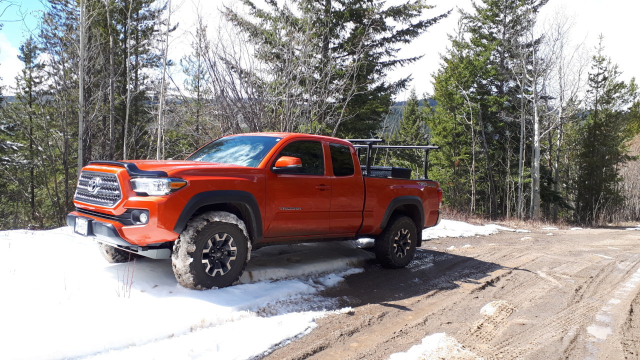 taco-snow-mud.jpg