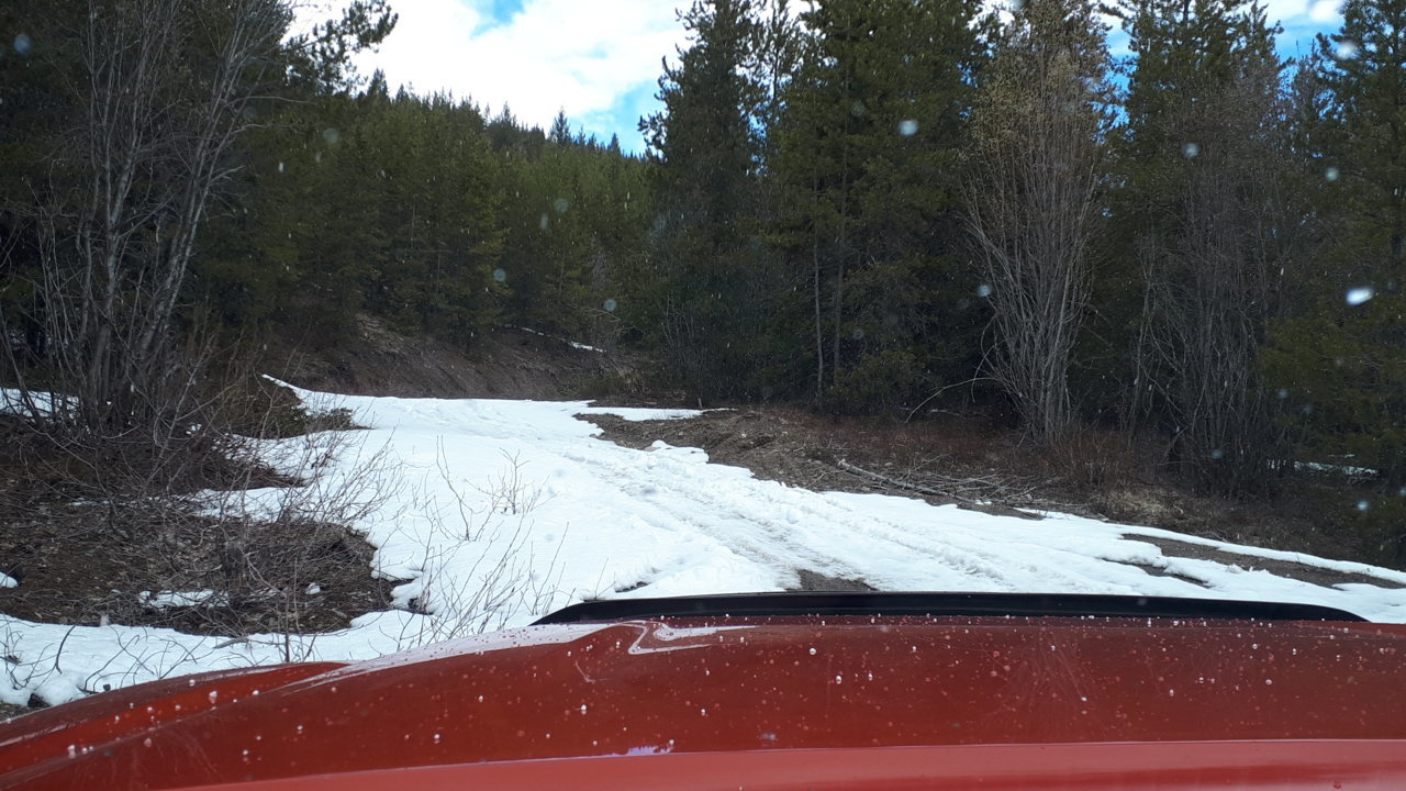 taco-snowmud4.jpg
