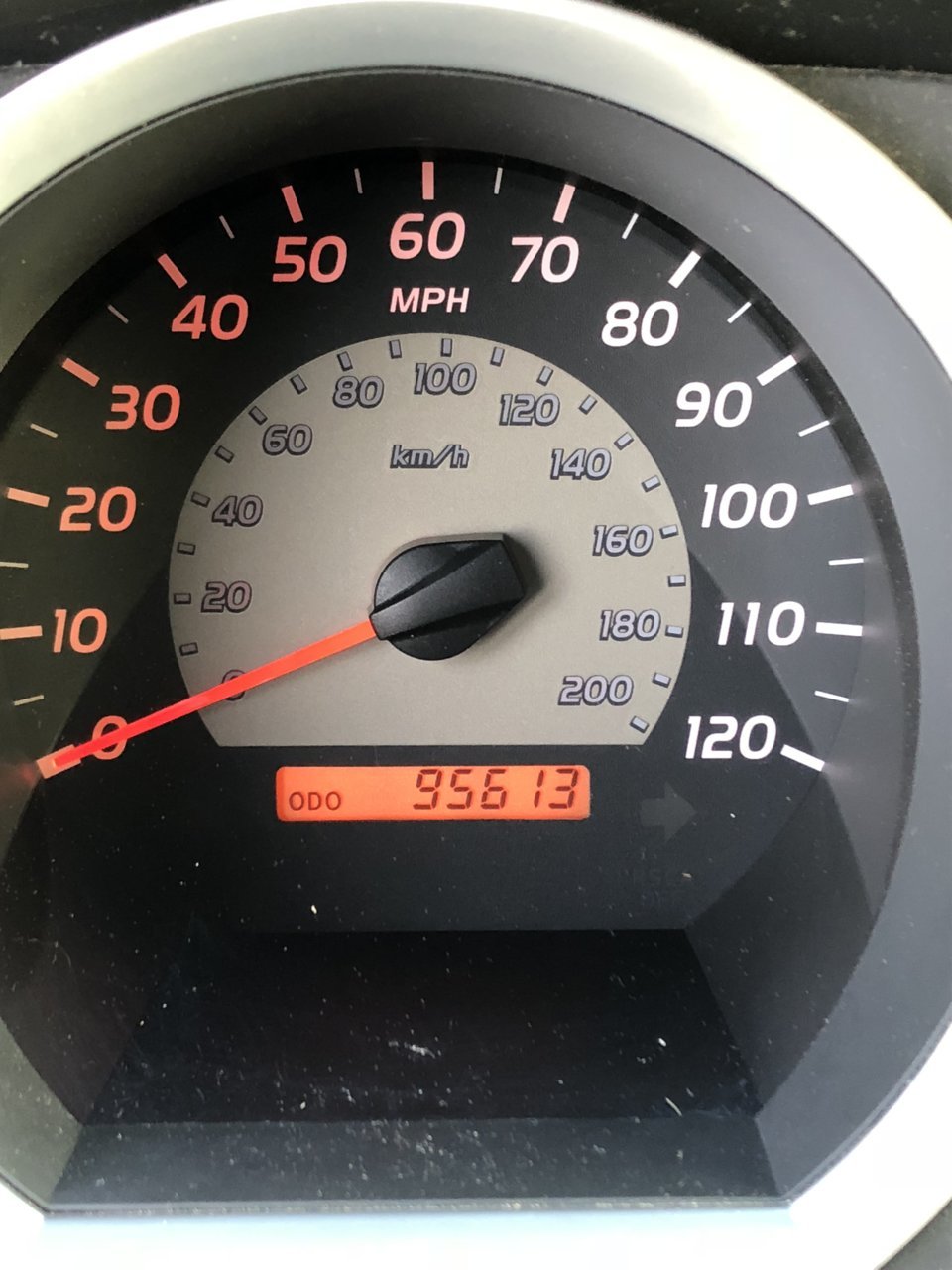 Taco Speedo.jpg