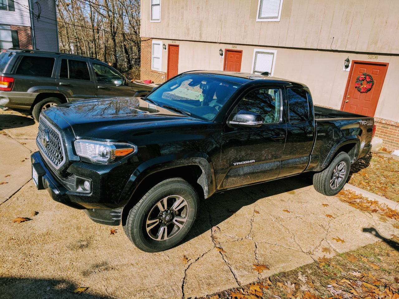 Taco Sport 2.jpg