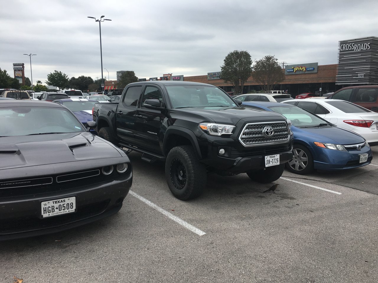 Taco Stalker 3.jpg