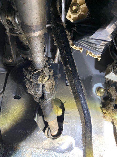 Taco Steering.jpg