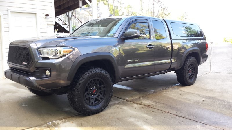 TACO STOMPER 2.jpg