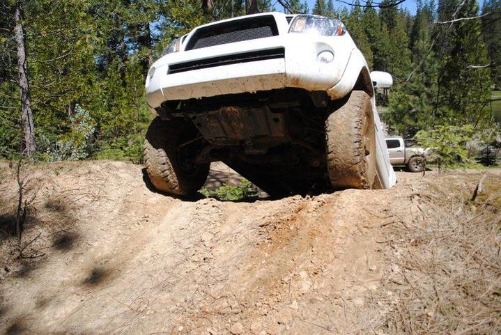 Taco - super sick.jpg