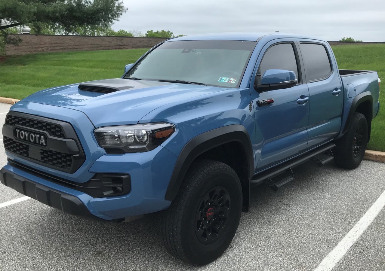 Taco Tinted.jpg