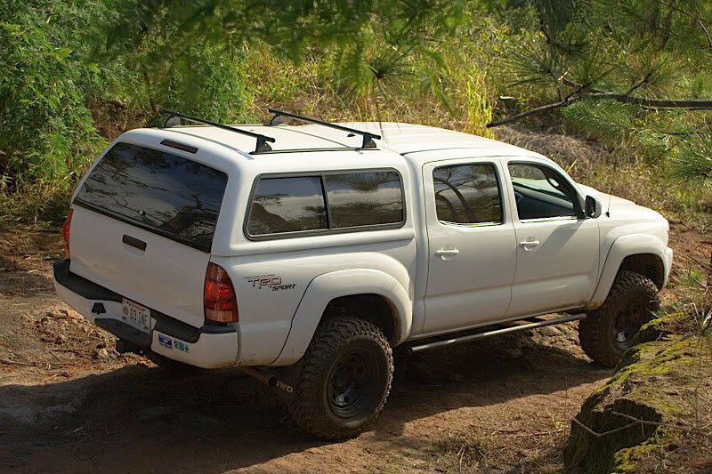 taco topper 1.jpg