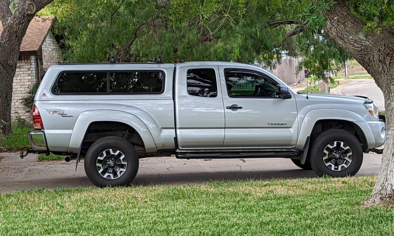 Taco under trees at home2.jpg