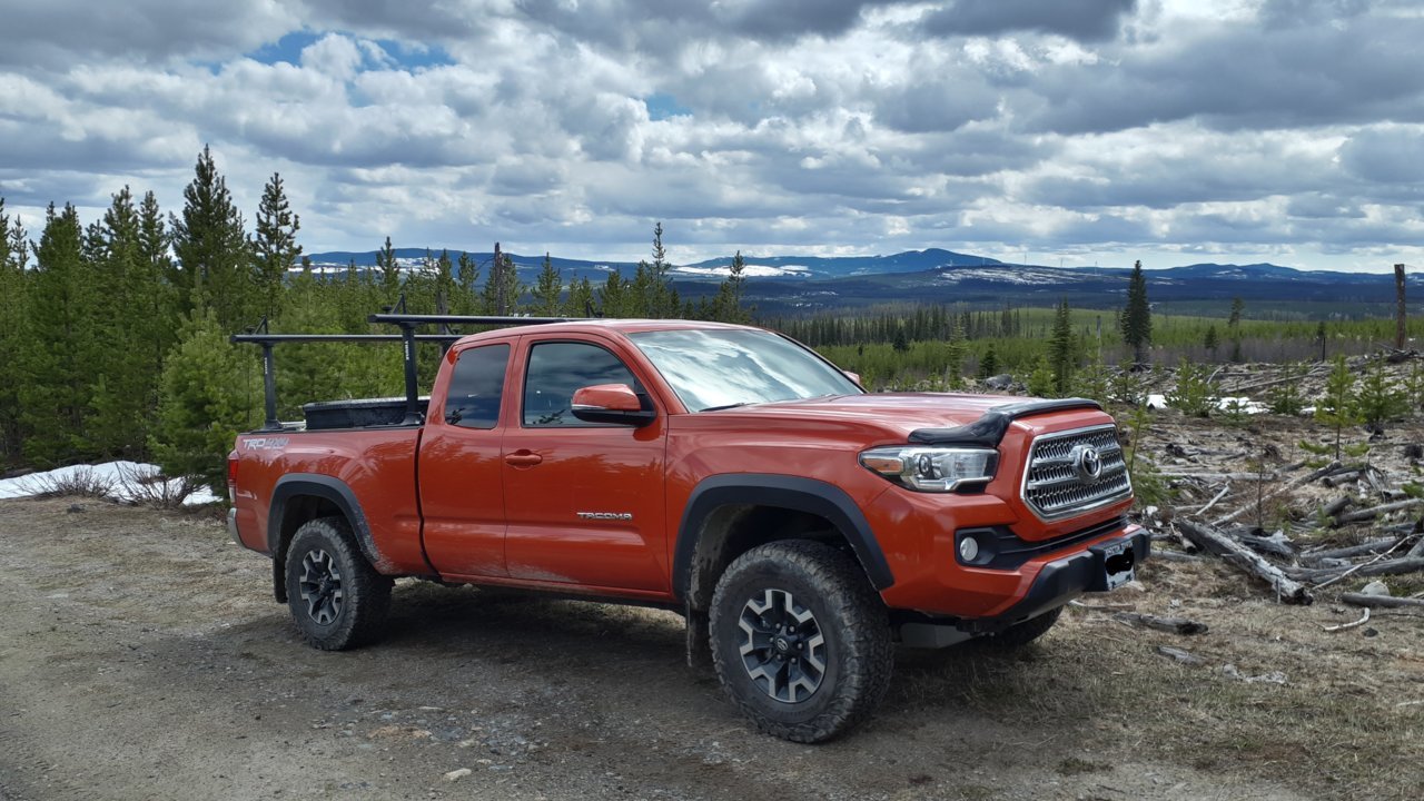 taco-view.jpg