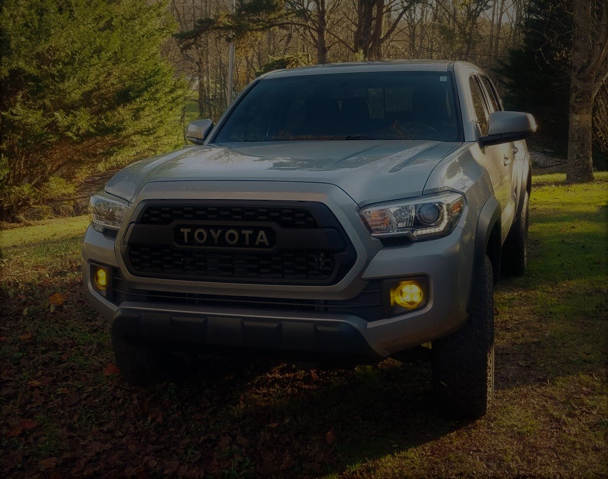 taco w fogs.jpg
