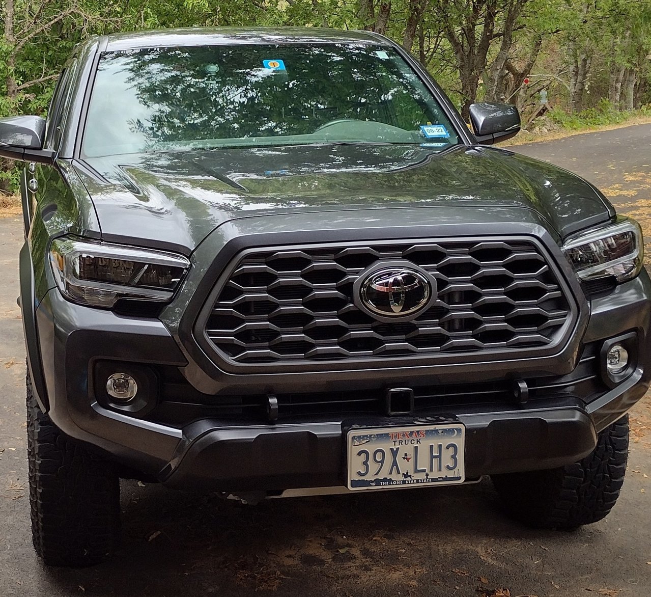 Taco washed 2.jpg
