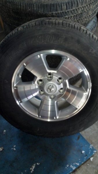 taco wheels2.jpg