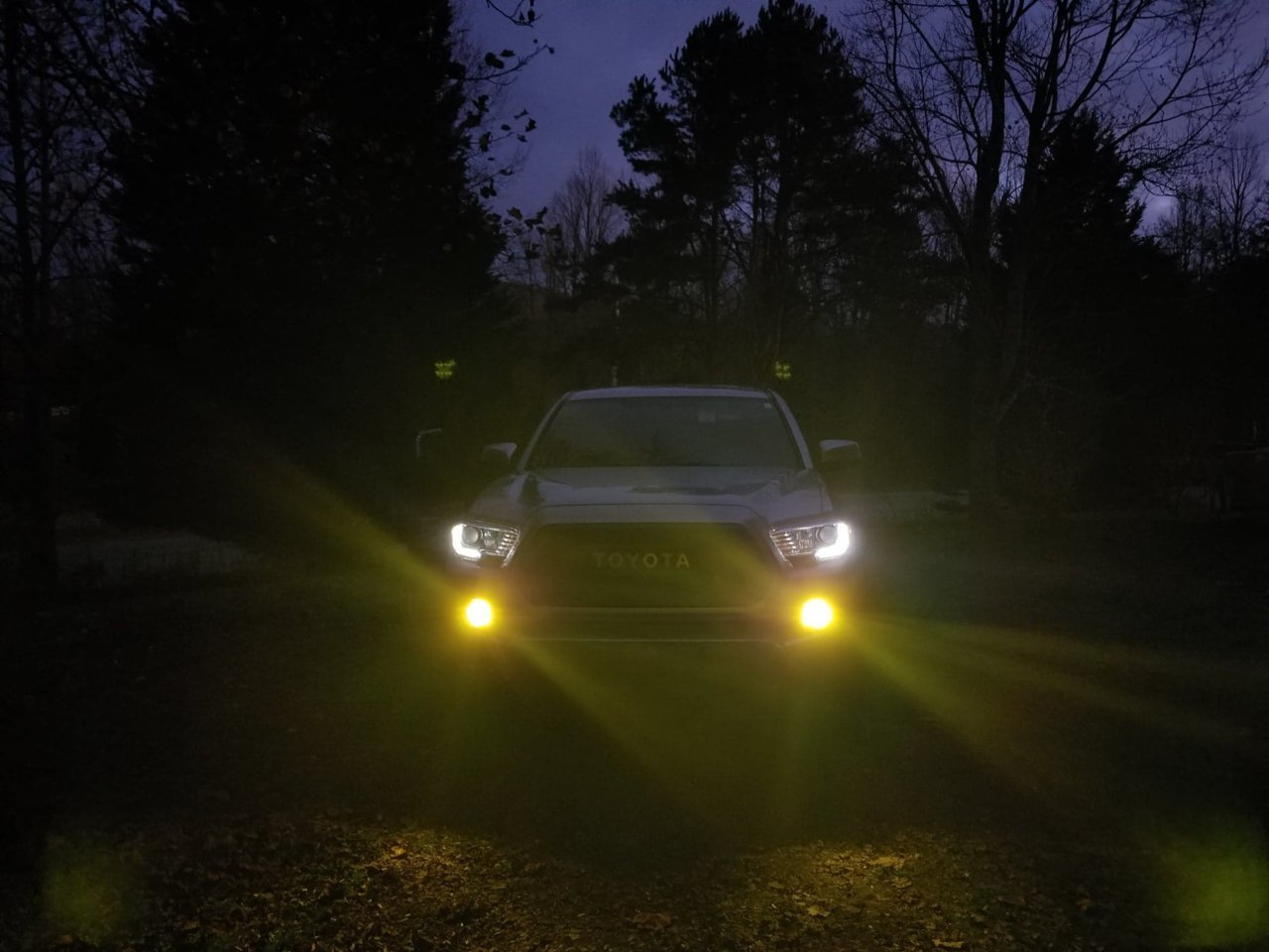 Taco with DD fogs.jpg