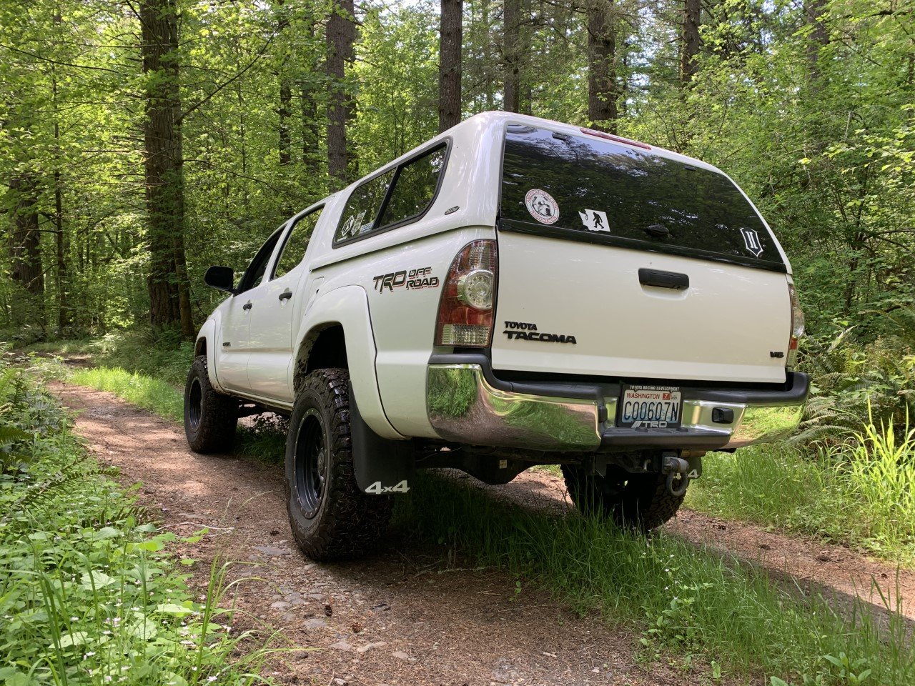 Taco woods 2.jpg