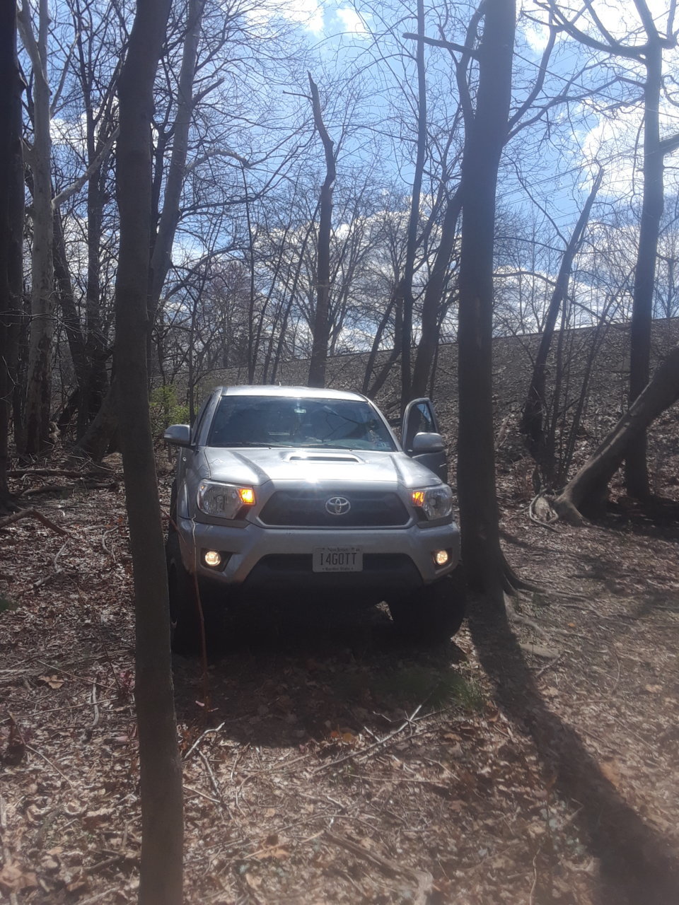taco woods.jpg