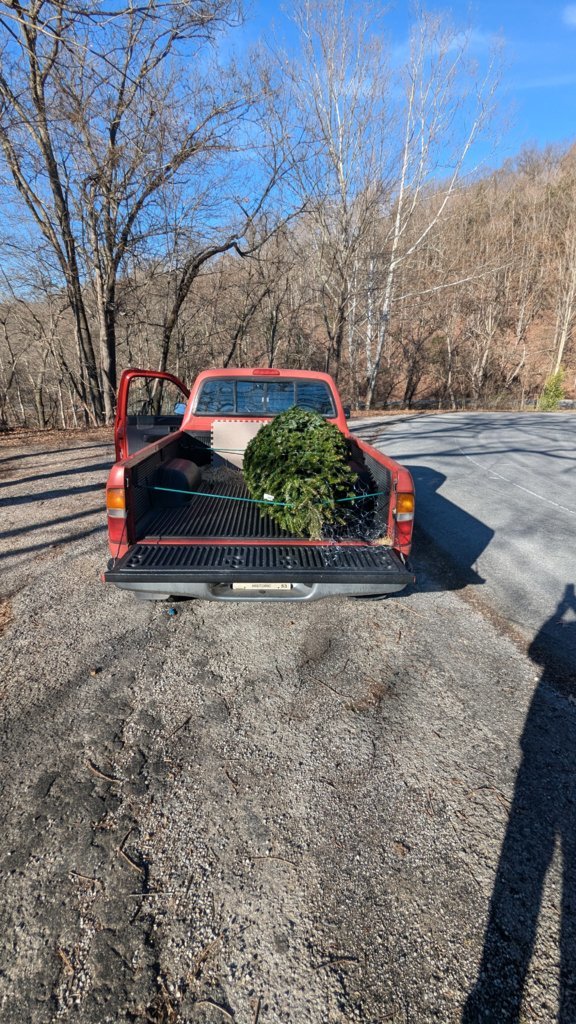 taco-xmas tree.jpg