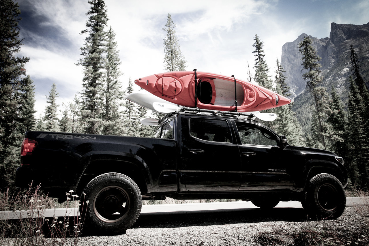 TACO YAKS 2 (1 of 1).jpg