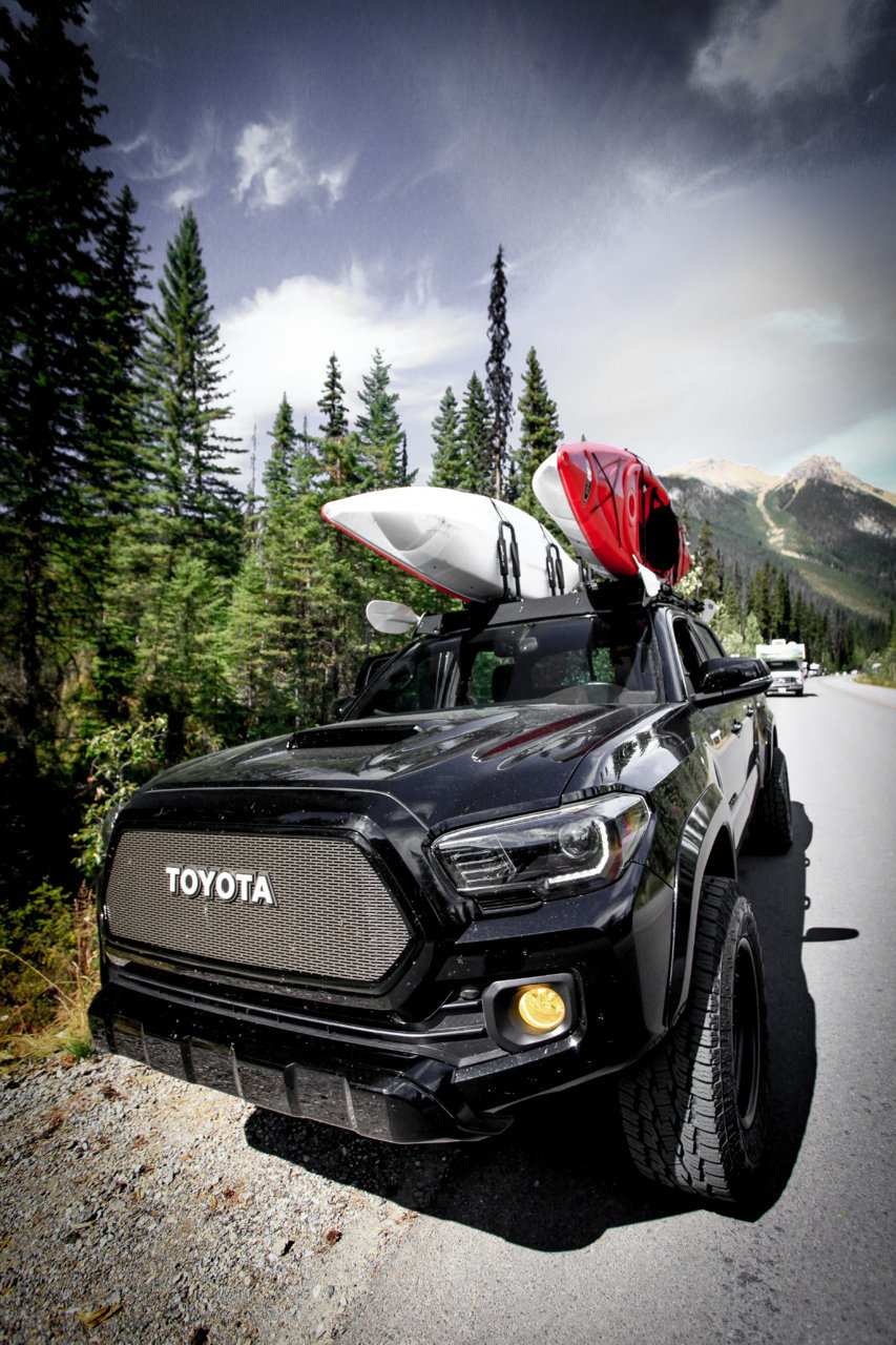 TACO YAKS 3 (1 of 1).jpg
