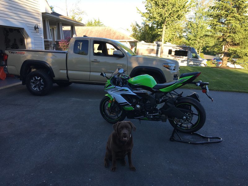 Taco zx6r bentley.jpg
