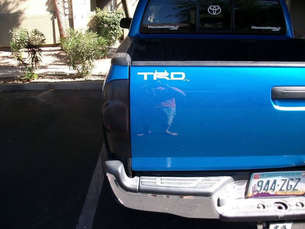 Taco008_42d6fc262a24088883c6c21ccda7a79d5894213b.jpg