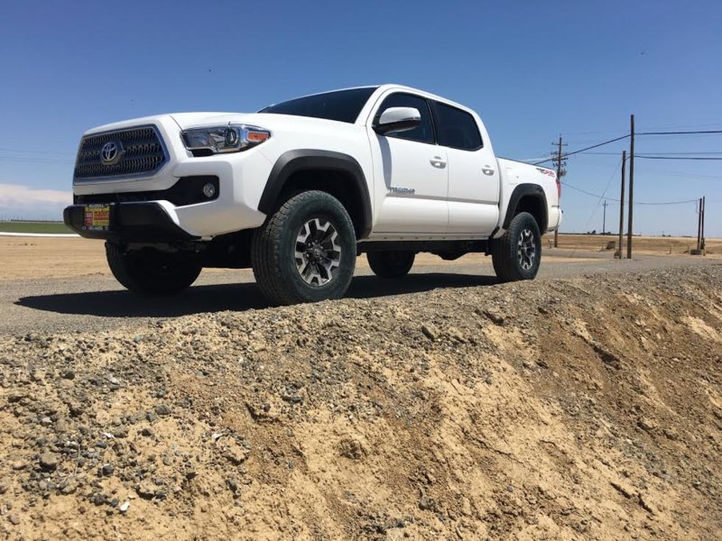 taco1.jpg