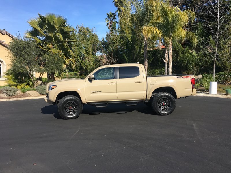 Taco1.jpg