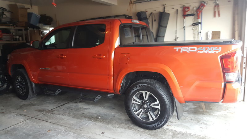 Taco1.jpg
