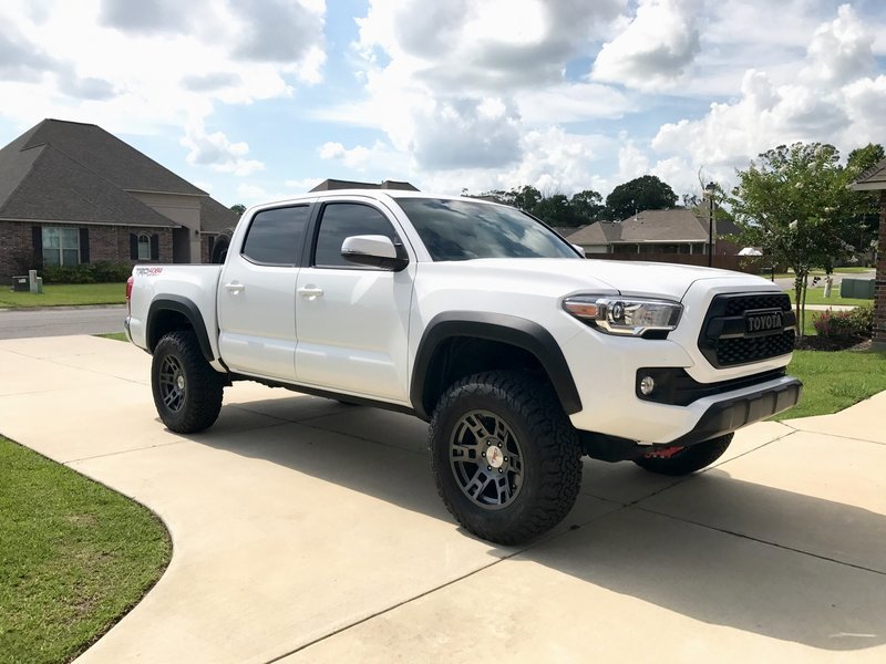 TACO1.jpg