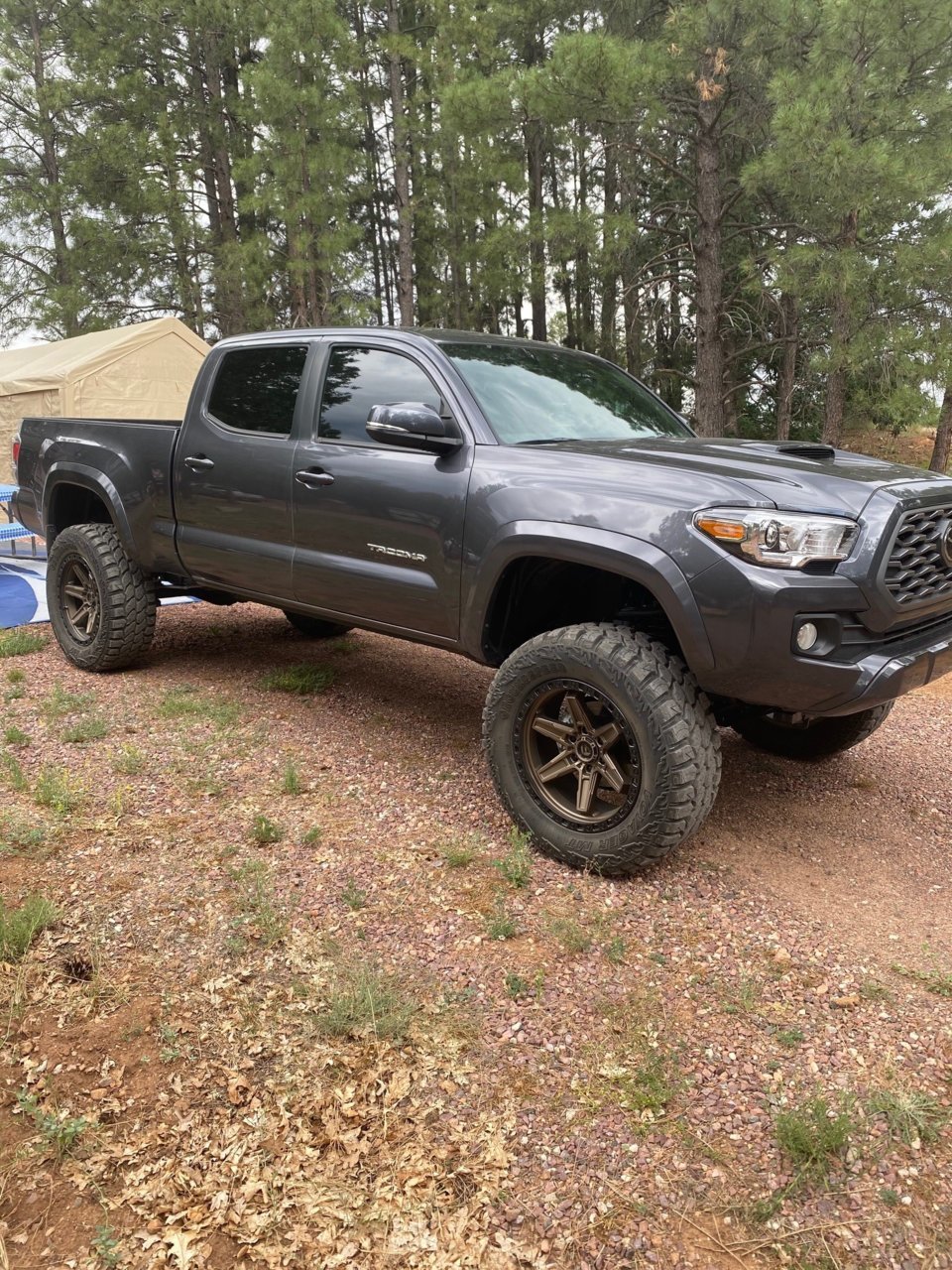 Taco1.jpg