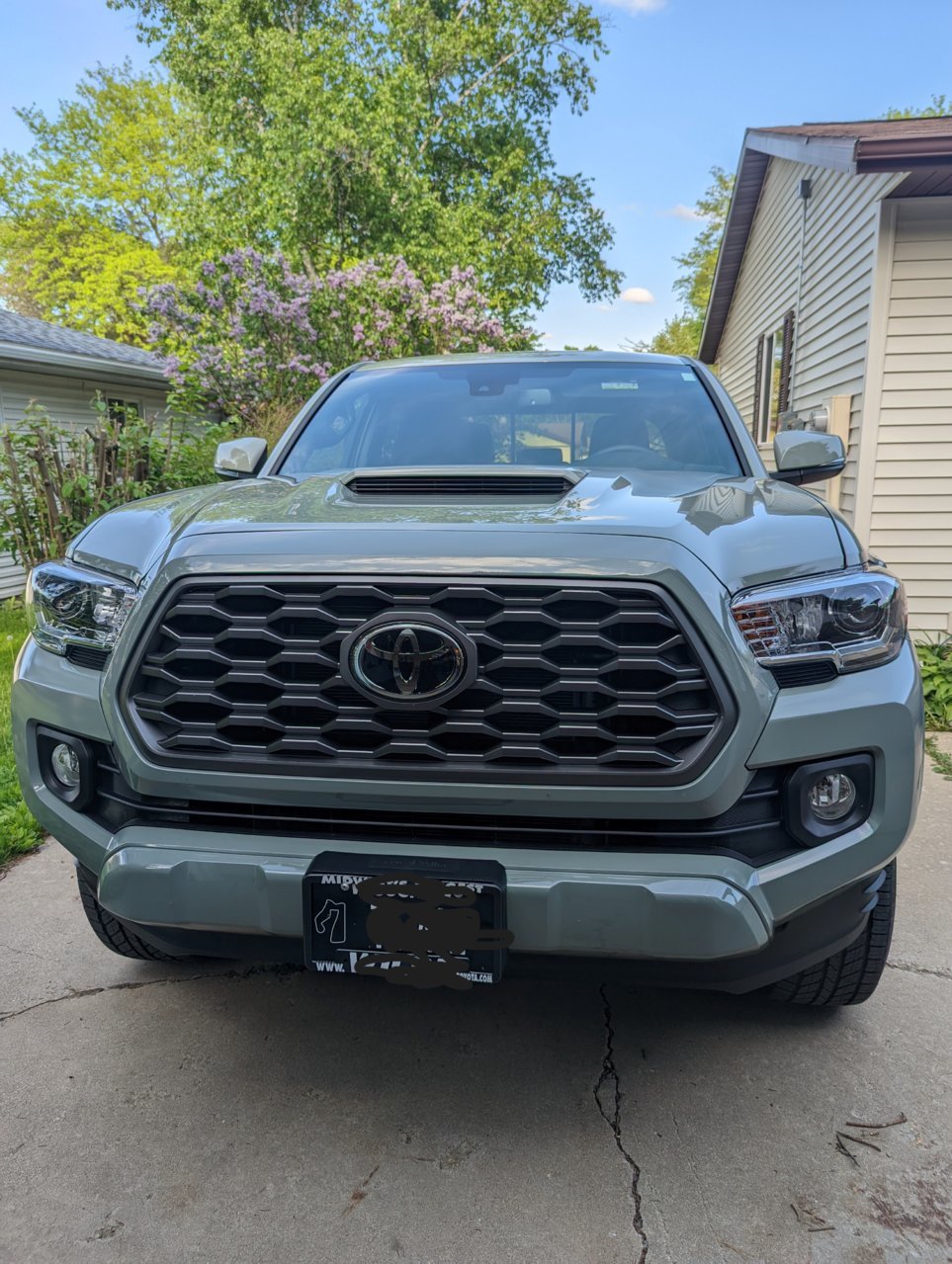 Taco1.jpg