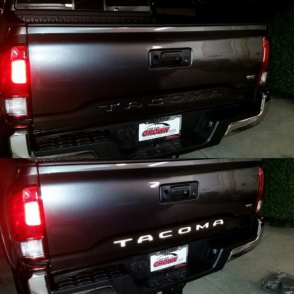 Taco1.jpg