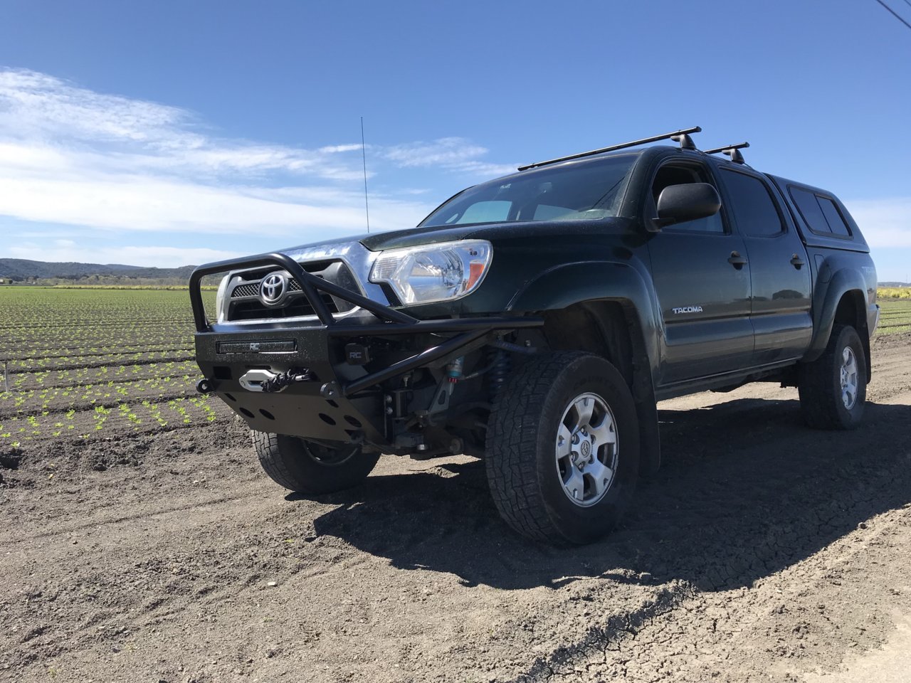 taco15.jpg