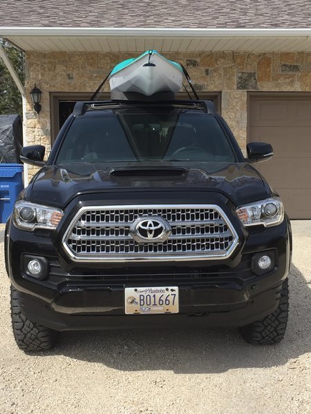 taco16.jpg