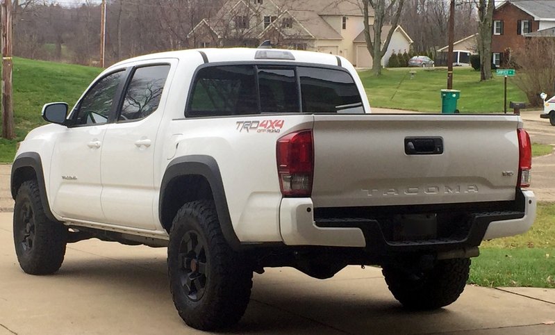 Taco16b.jpg