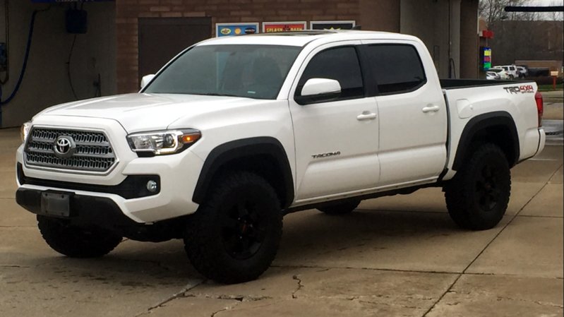 taco16d.jpg