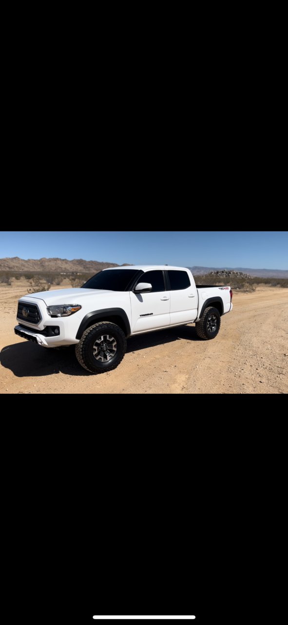 Taco2.jpg