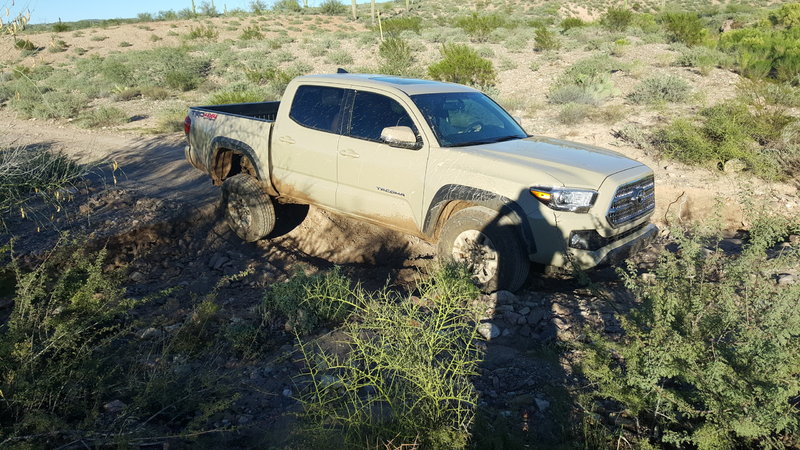 taco2.jpg