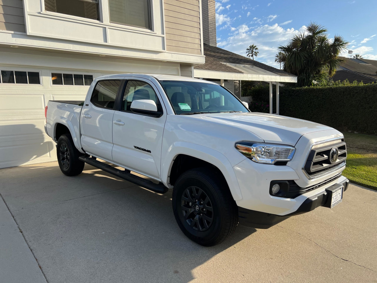 taco2023m.jpg