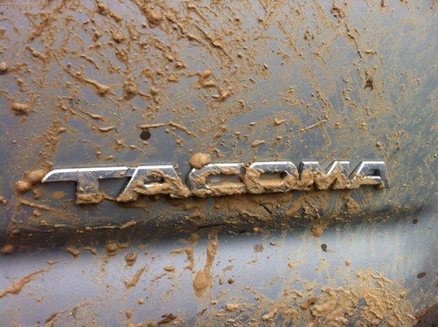taco4.jpg