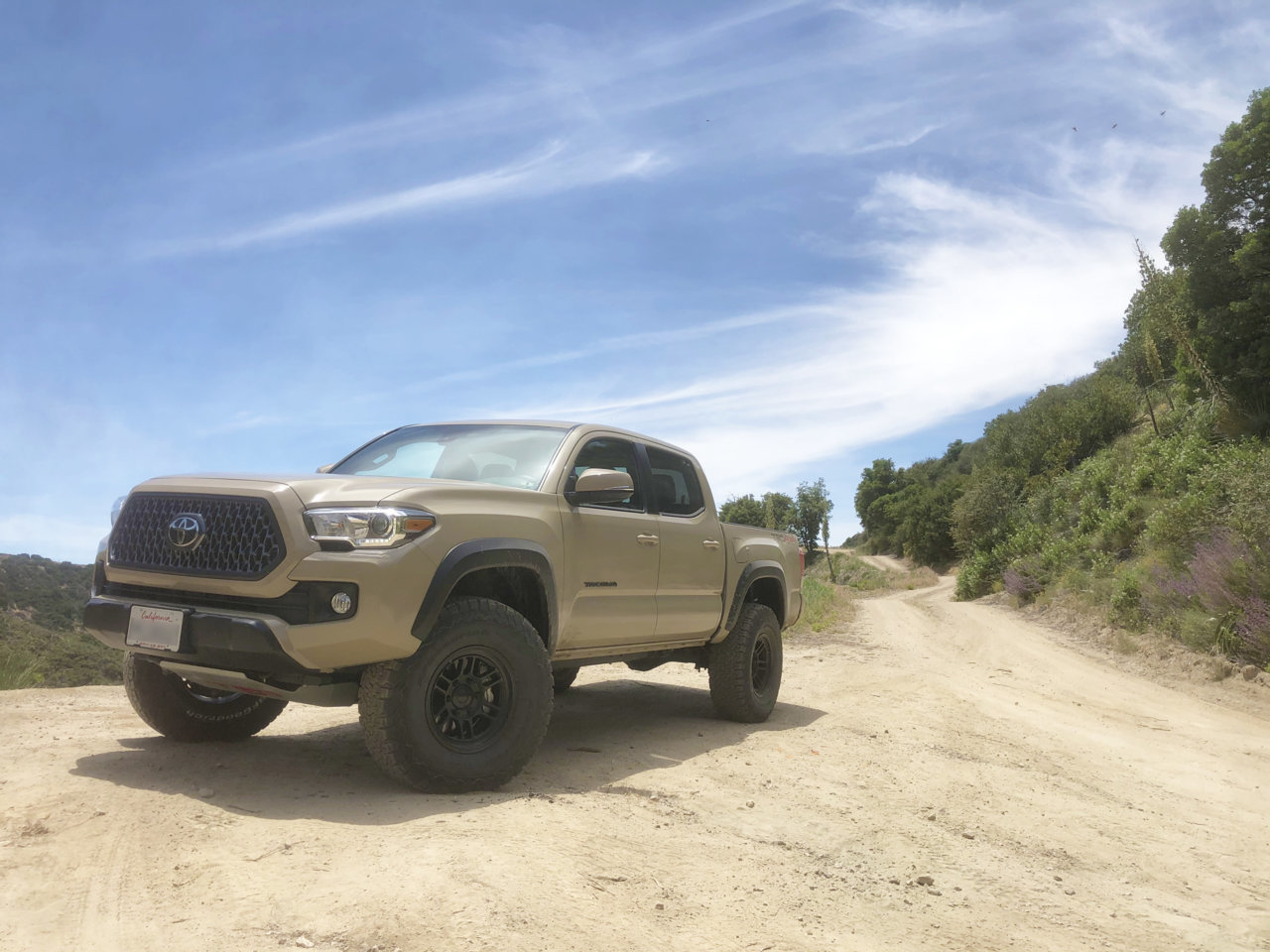 Taco_1N09_1.jpg