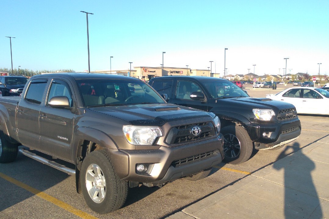 taco_20191003_1714218.jpg