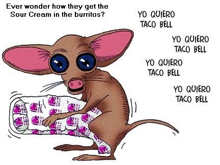 taco_6ed75fd79b73075dac04b757a18ded89200079d6.jpg