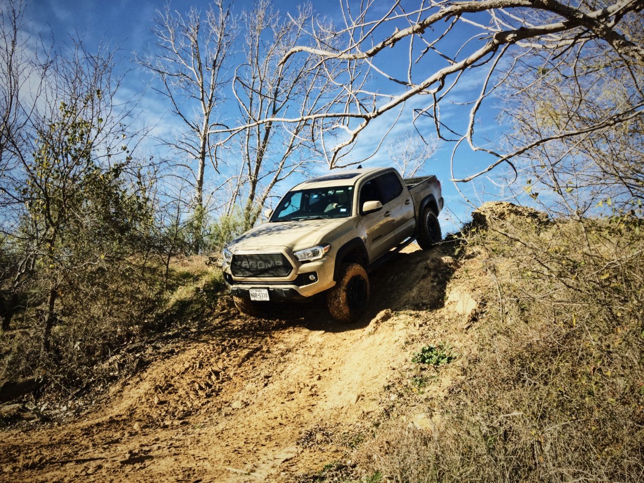 Taco_Bridgeport01.jpg