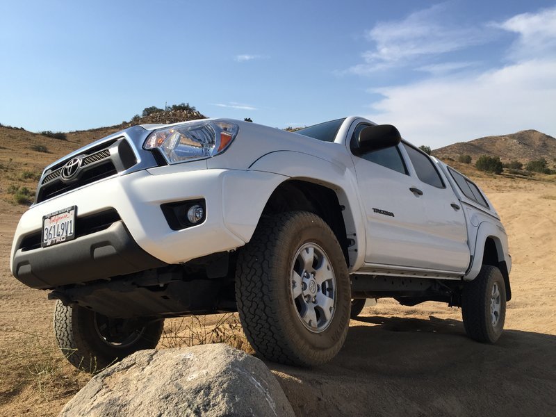 Taco_flex 3.jpg