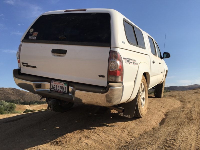 Taco_flex1.jpg
