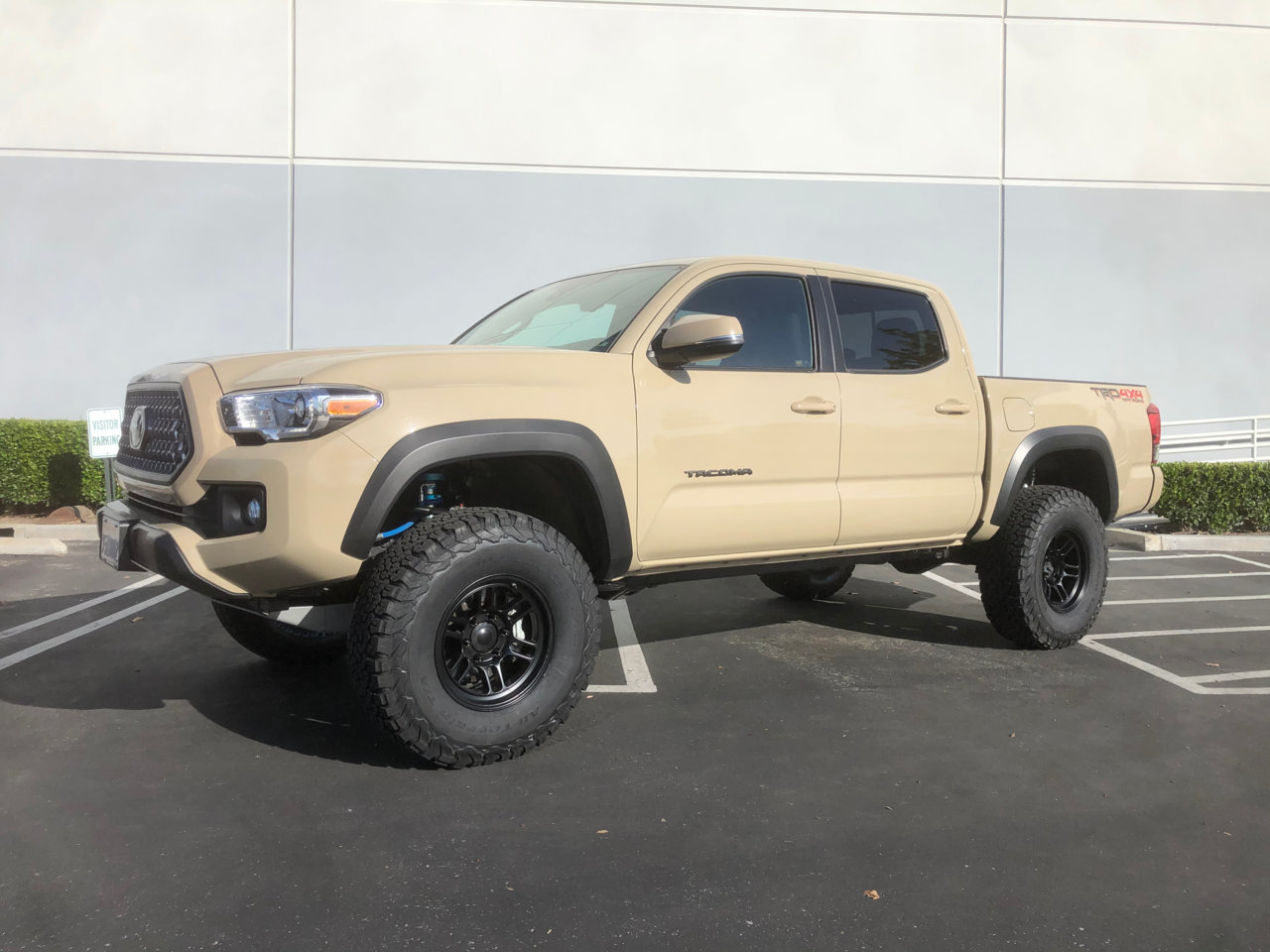 Taco_front_3_4_1.jpg
